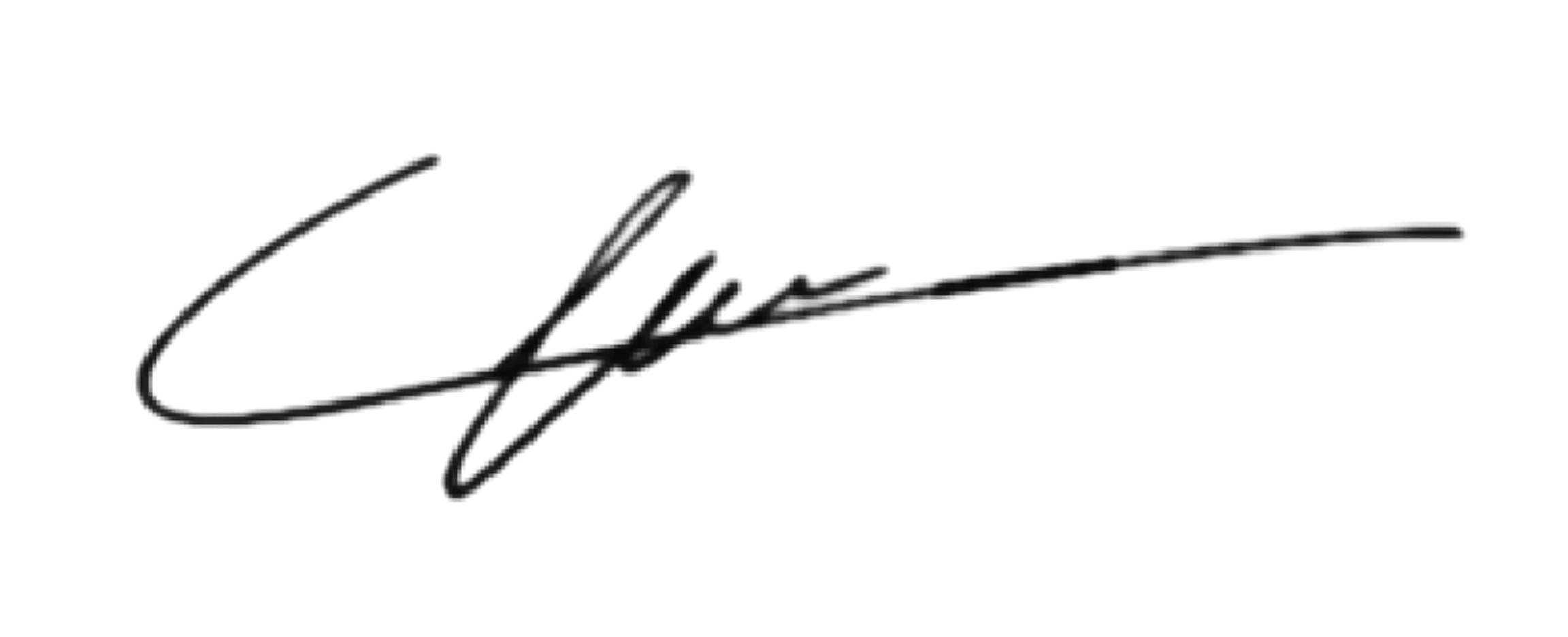 Hugo Koopman Signature